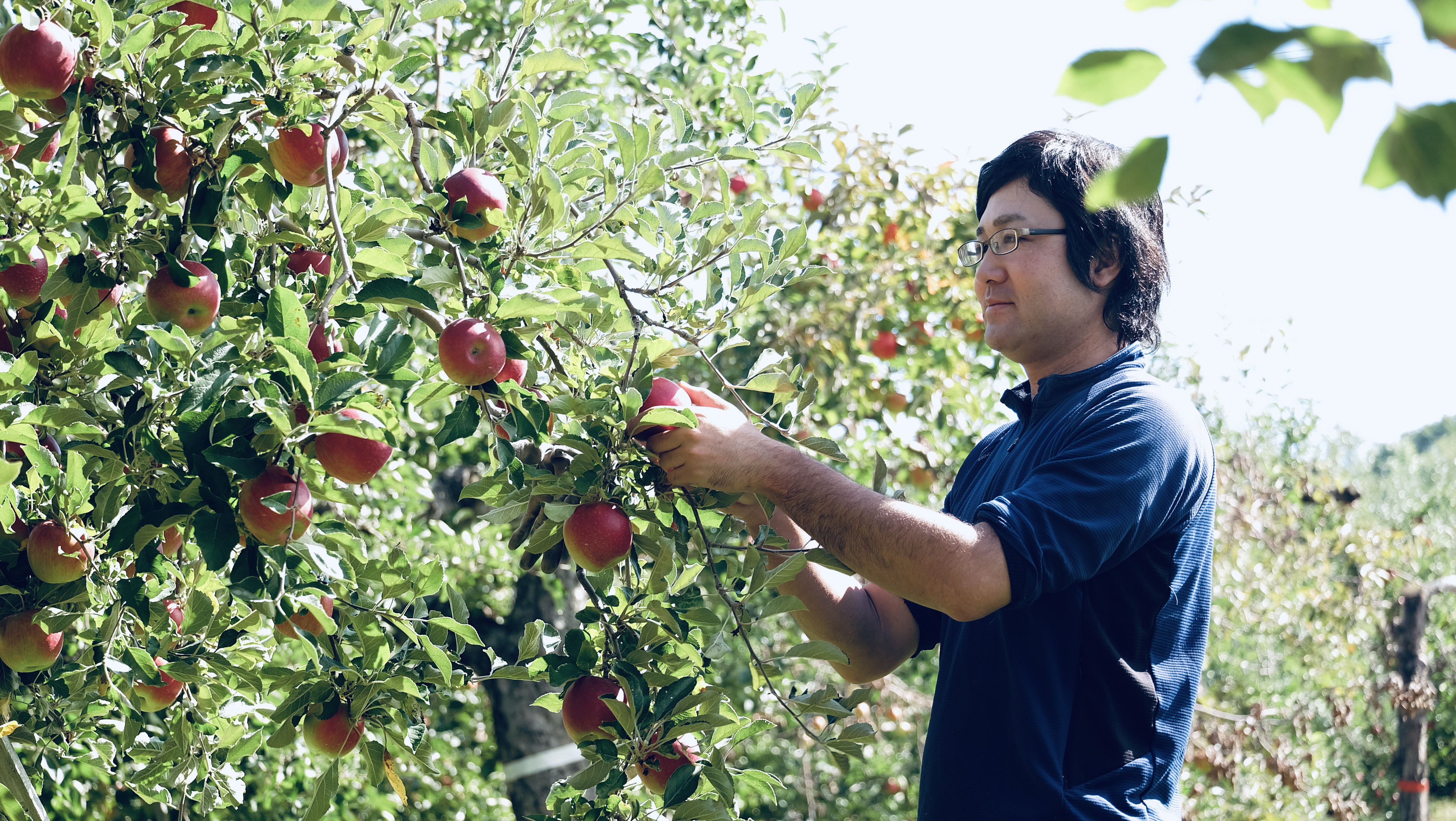 青森県黒石市｜龍ノ口りんご園｜藤田方海さんの生産者プロフィール