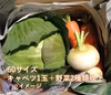 【自然の香り】愛知県田原市産　キャベツ＋野菜セット