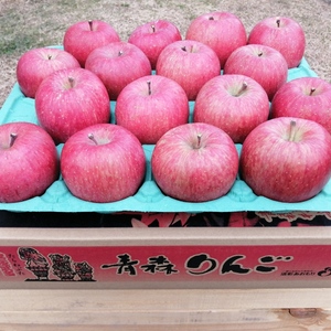 【サンふじ】青森りんご ご家庭用