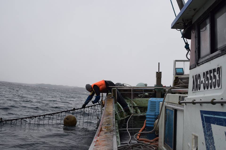 15492489_1912401312327176_5214354532348506692_n