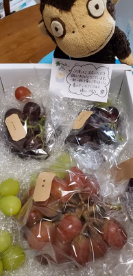 みんなの投稿の画像