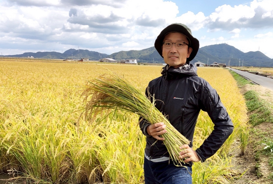 岡山県産 朝日米 玄米5ｋｇ | 農家漁師から産地直送の通販 ポケットマルシェ
