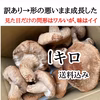 頑張って成長したが形が悪い椎茸さん1キロ送料込み