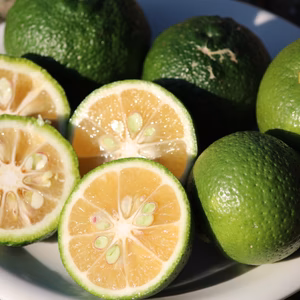 かぼす　柚子　各1ｋｇｾｯﾄ！　豆腐やお魚にどうぞ！