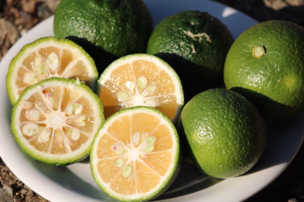 かぼす　柚子　各1ｋｇｾｯﾄ！　豆腐やお魚にどうぞ！