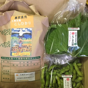 京丹後産　令和元年産こしひかり＆無農薬枝豆＆無農薬えごまの葉　クール便
