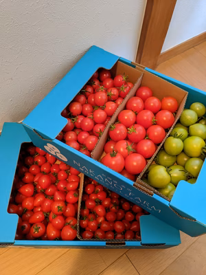 みんなの投稿の画像