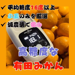 小玉 希少 有田みかん 数量限定 驚異の糖度16以上 甘すぎ注意   小粒　ss