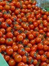 季節限定！完熟トマト　うま味あふれる　ドライミニトマト 25g