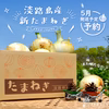 【予約】《待たせたな!!》淡路島産新たまねぎ(七宝：新玉ねぎ)