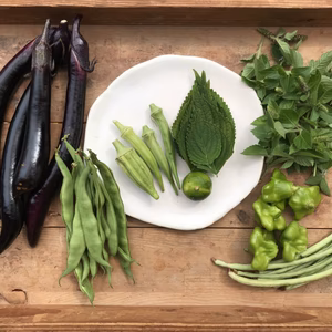 朝ごはんセット入り秋の土の子野菜vol.1【農薬、化学肥料不使用】