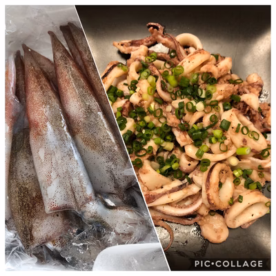 みんなの投稿の画像