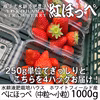 べにほっぺ中粒～小粒をたっぷり1000g【クール便対応】【ワケアリ】