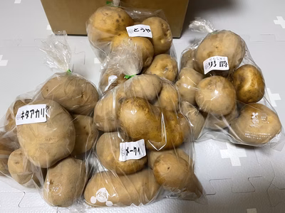 みんなの投稿の画像