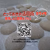 【キクイモ定期便】菊芋餅(10個入り）