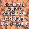 【福袋2025】飯田HOSHI柿　おトクな送料400円❗️
