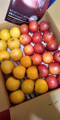 みんなの投稿の画像