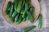 フードロス削減！多品目栽培農家のわけあり旬野菜つめあわせセット