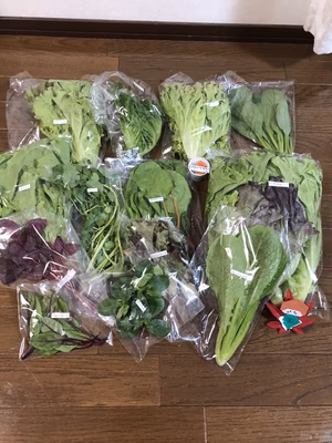 みんなの投稿の画像