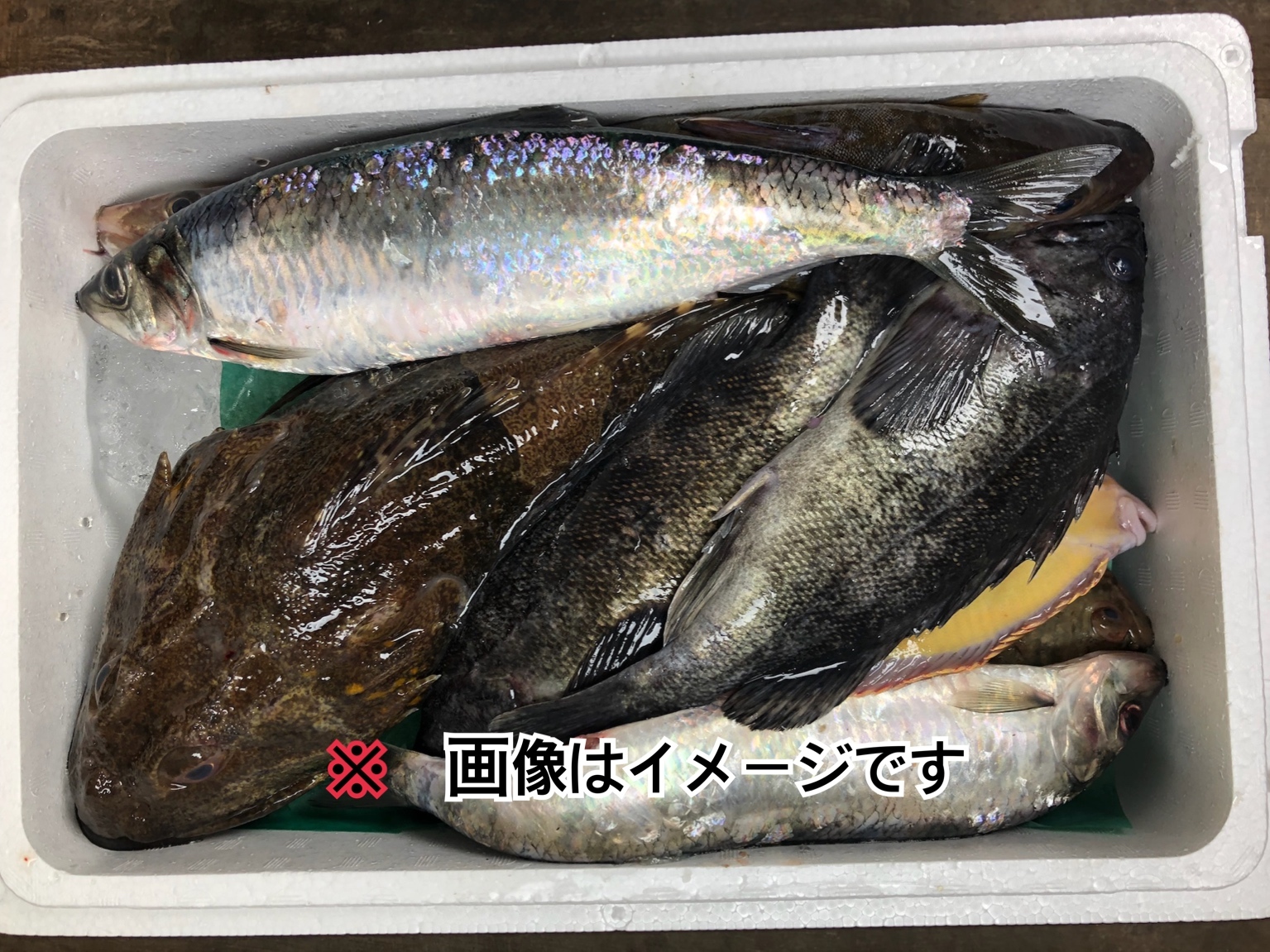 最短翌日発送】未利用魚ボックス (梅コース) 海鮮セット 鮮魚