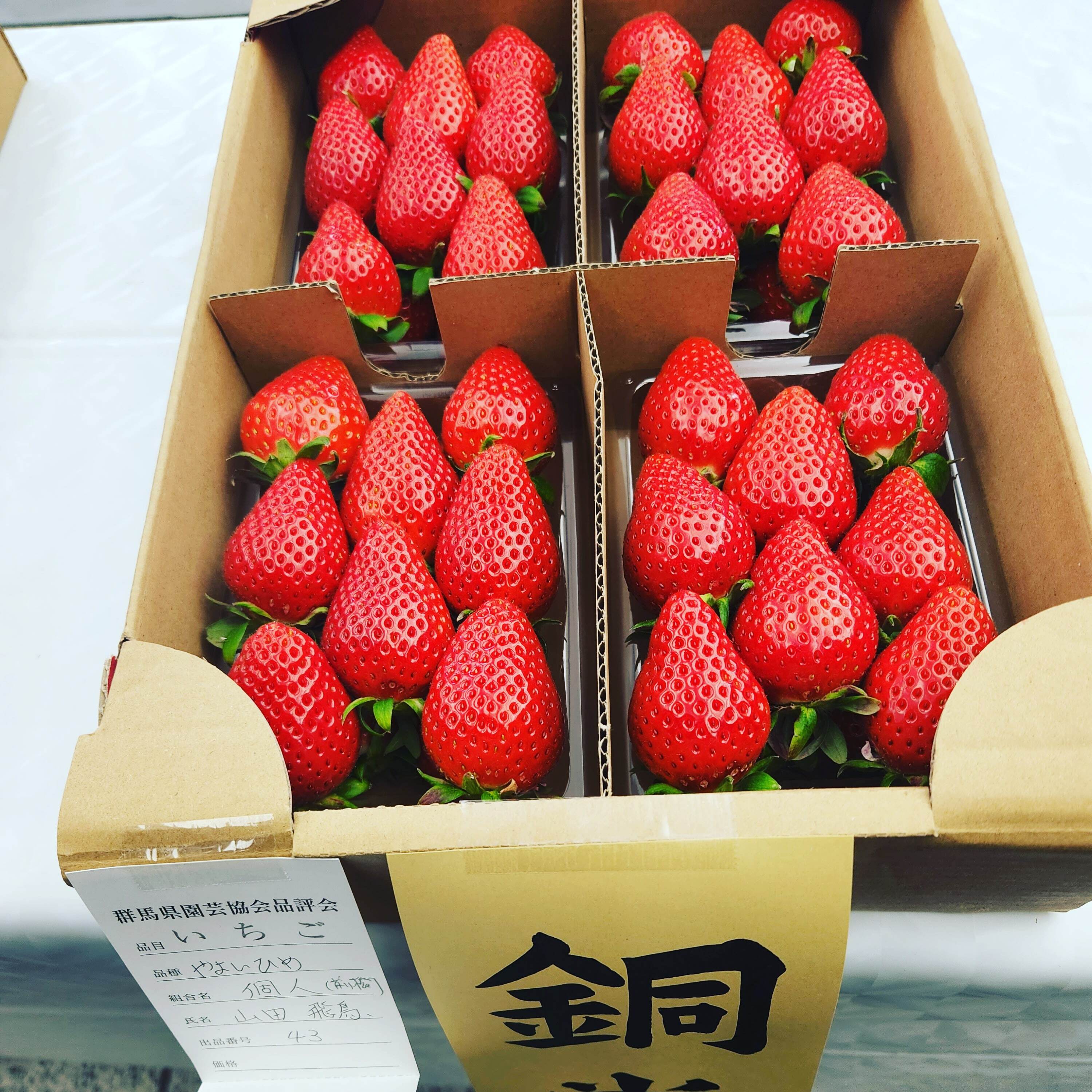 苺②junkojamさん専用 いちご2つさまご確認用！ いちご様購入専用 いちご様 いちご① いちご