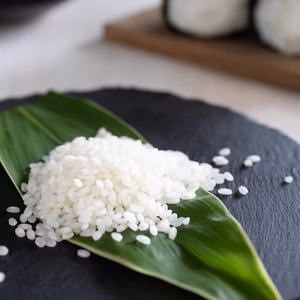 【新米予約】令和７年産 食べる雄町米 10kg