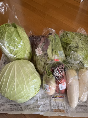 みんなの投稿の画像