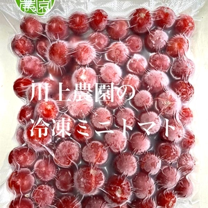 【調理が簡単！】川上農園の冷凍ミニトマト（加熱用）1kg、2kg 茨城県産 