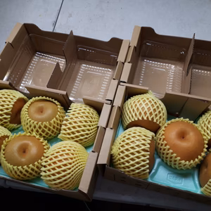 S-2 秋の味覚"スモール"セット②[完熟いちじく&豊水]