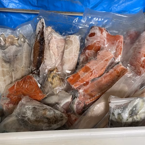 １点限定‼️船上神経〆　鮮魚ガチャ&干物❗️冷凍