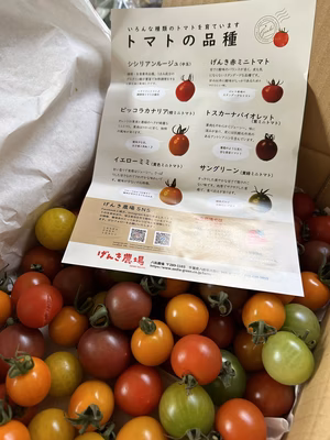 みんなの投稿の画像