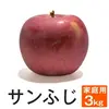 長野県産 サンふじ【家庭用3kg】9-15玉　スマートフレッシュ