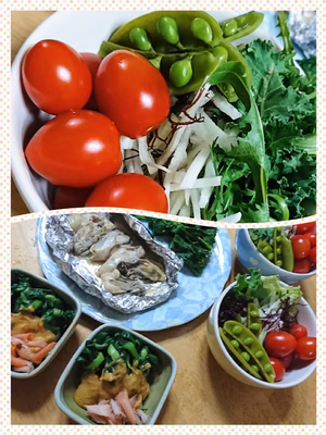 みんなの投稿の画像