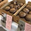 佐藤元信