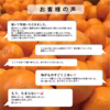 【柑橘の大トロ！】せとか　2㎏～（ご家庭用）