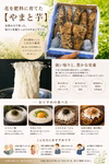 縁起物　大和芋(とろろ芋)有機肥料使用　