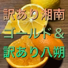 【手作りジャムプレゼント付き】訳あり特価！訳あり湘南ゴールド＆訳あり八朔セット
