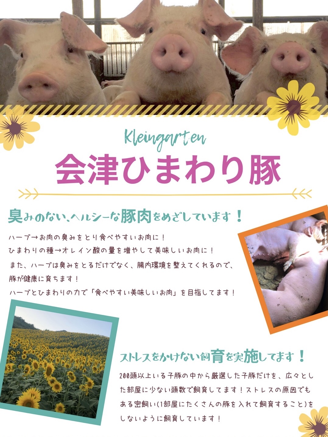 会津ひまわり豚詰め合わせ 農家漁師から産地直送の通販 ポケットマルシェ