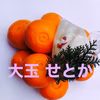 大玉''せとか" 〜酸味と甘み溢れる柑橘界の大トロ〜