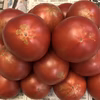 高糖度トマト　訳あり