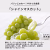 【送料無料】【9月中旬〜】パリッじゅわ～！やみつき食感「シャインマスカット」