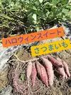 10月のお野菜セット　淡路島よりAwajicHorrorGarden