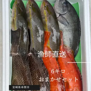 朝どれ6キロセット！！漁師直送