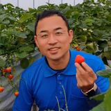 加藤　秀明 | いちのみやいちご研究所