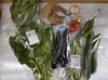 クール便　野菜の玉手箱♪★無農薬で育てたミニ野菜セット