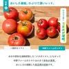 【トマトジュース専門農家】送料無料トマトジュース710ml×6本