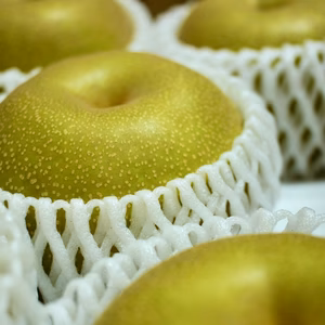 かじゅまる農園の豊水梨　果汁たっぷり甘い！《夏ギフト》