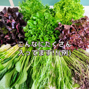 期間限定!! 大満足セット(80サイズに大袋で入るだけ詰め込んで 1㌔~)