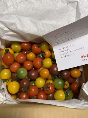 みんなの投稿の画像