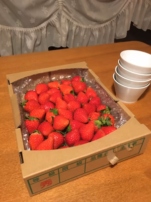 みんなの投稿の画像